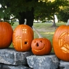 20101010-pumpkins-1