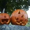 20101010-pumpkins-6