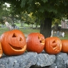 20101010-pumpkins-7