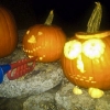 20111011-pumpkins-ldavid-1