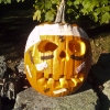 20111011-pumpkins-ldavid-10