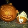 20111011-pumpkins-ldavid-2