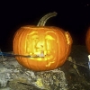 20111011-pumpkins-ldavid-4