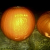 20111011-pumpkins-ldavid-7