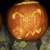 20111011-pumpkins-ldavid-9