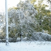 20111030-october-snow-10