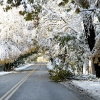 20111030-october-snow-8