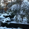 20111102-snowtober-tdaloisio-4