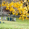 20111111-old-burial-ground-7