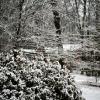 20120112-snowy-day-4