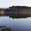 20120318-sudbury-reservoir-wraight-3