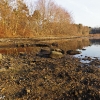 20120318-sudbury-reservoir-wraight-4