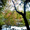 20120930-beals-preserve-fall-2