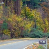 20121030-framingham-road-suma-1