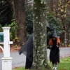 20121031-halloween-contrib-14