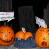 20141012_pumpkin_wall_14