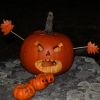 20141012_pumpkin_wall_19