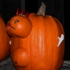 20141012_pumpkin_wall_22