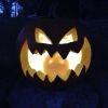 2014_pumpkin_wall_contributed_by_jessica_rosenthal_1a-480x640