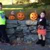 2014_pumpkin_wall_contributed_jacob-and-katrina-heisler