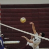 20150518_volleyball_boys_gallery_8