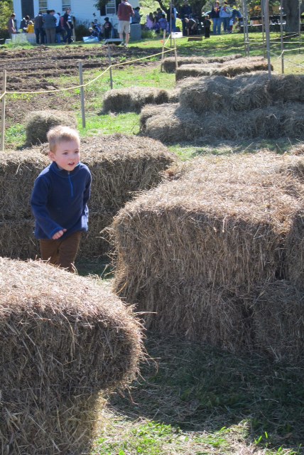 20151014_chestnut_hill_farm_festival_from_cara_2