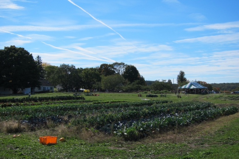 20151014_chestnut_hill_farm_festival_from_cara_5