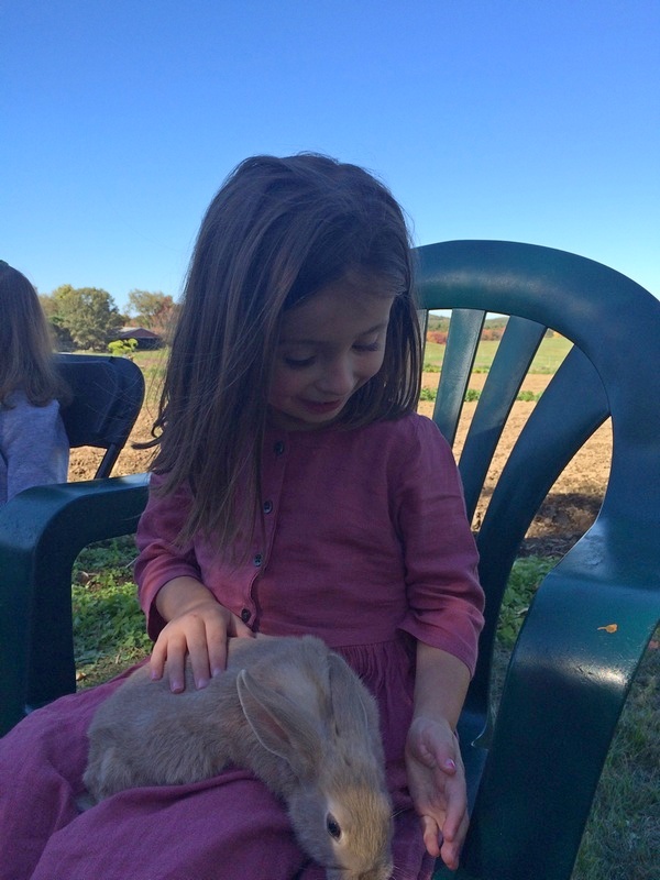 20151014_chestnut_hill_farm_festival_from_jen_valentine_3b