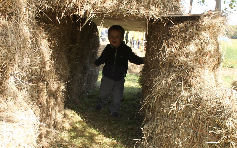 20151014_chestnut_hill_farm_festival_from_ttor_eric_hay-bale
