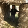 20151014_chestnut_hill_farm_festival_from_ttor_eric_hay-bale