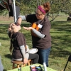 20151014_chestnut_hill_farm_festival_from_ttor_facepainting