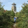 20151014_senior_center_trailblazers_quabbin_hike_2