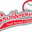 Thumbnail image for Southborough Youth Baseball starts 9/15