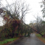 Thumbnail image for Power out, roads still closed in Southborough after Hurricane Sandy