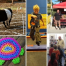 Thumbnail image for Events this week (11/3-9/14): Fundraisers, collection drives, kids entertainment, and family fun