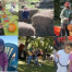 Thumbnail image for Chestnut Hill Farm Festival – Sunday, October 9