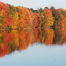 Thumbnail image for Send in your fall shots – foliage, Halloween festivities and more