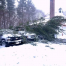 Thumbnail image for Southborough Police (and Fire) hit hard by the storm (Updated)