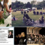 Thumbnail image for A very busy Thursday: Caterpillar Lab, Summer Concert, Estate Planning, and Trottier Big Band