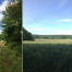 Thumbnail image for Reminder: Hike Southborough on Saturday (Updated)