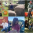 Thumbnail image for Chestnut Hill Farm Harvest Festival – Sunday, October 8 (Updated)