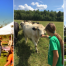 Thumbnail image for Chestnut Hill Farm expanding by 39 acres thanks to generous family (and donors); creating “New Community Gathering Space” (Updated)