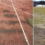 Thumbnail image for Learn about Recreation’s field (and track) projects – March 26