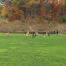 Thumbnail image for Kallander Field: “Citizen” Article point of contention, Youth Soccer working with Fay but challenged by declining numbers, Answers to problems up the hill