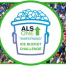 Thumbnail image for Join the group Ice Bucket Challenge for SHIFSTRONG – Saturday at Summer Nights