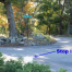 Thumbnail image for Pine Hill and Parmenter roads safety discussion continues with requests and 3-Way stop debate