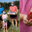 Thumbnail image for Where you can still pick summer fruit – some by reservation