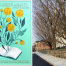 Thumbnail image for View “Books in Bloom” on display next week