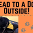 Thumbnail image for Sign up to “Read to a Dog” in-person