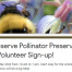 Thumbnail image for Sign up to help create the new Pollination Preservation Garden at Beals Preserve – Sunday